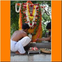 Rayara Brindavana on the day of Madhya Aradhana_16.jpg